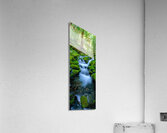Rain Forest Runoff  Impression acrylique