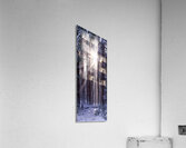 Solstice Vertical  Impression acrylique