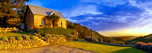 Lavender Farm