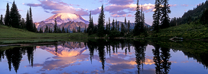 Rainier Rising