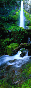 Marymere Falls