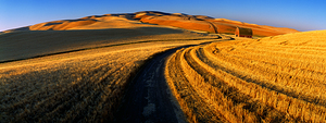 Harvest Road