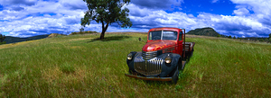 Retired Farm Hand