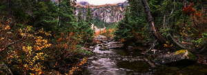 Whispers of Autumn