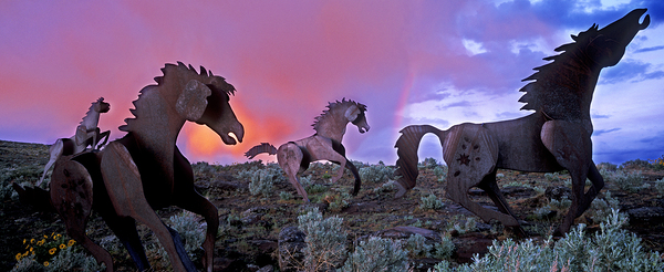Wild Iron by John Shephard
