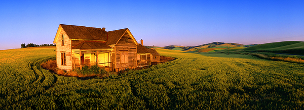 Abandoned Beauty by John Shephard