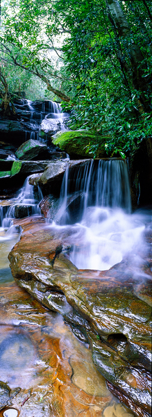 Somersby Falls by John Shephard
