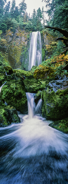 Hidden Veil by John Shephard