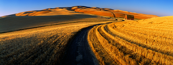 Harvest Road