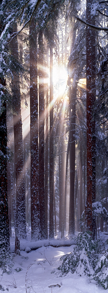 Solstice Vertical ?>