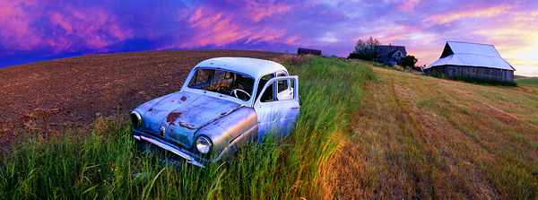 Triumph by John Shephard