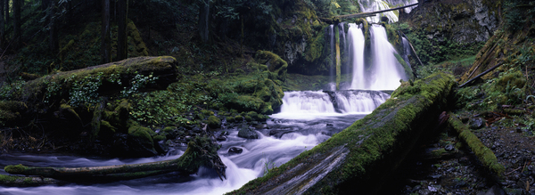 Panther Creek Falls