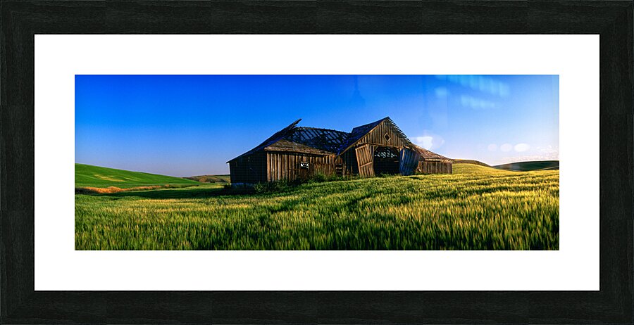 Baylor Barn  Impression encadrée