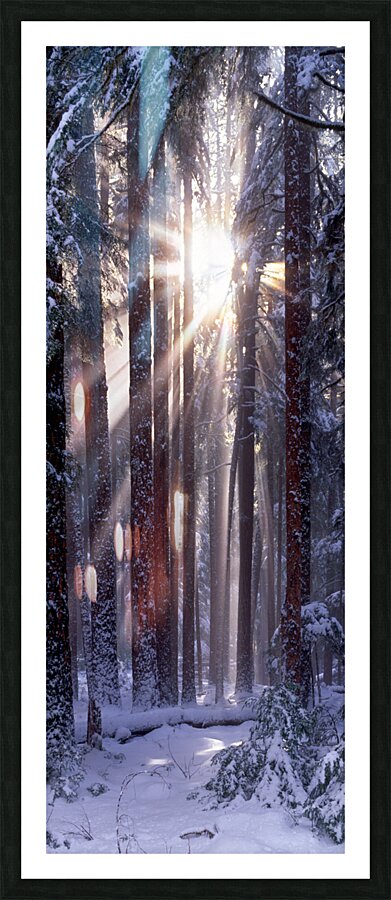 Solstice Vertical  Impression encadrée