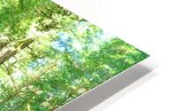 Rain Forest Runoff Impression metal HD