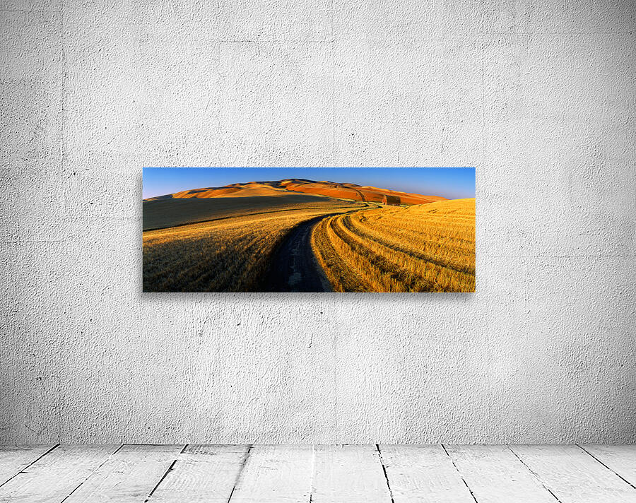 Harvest Road by John Shephard