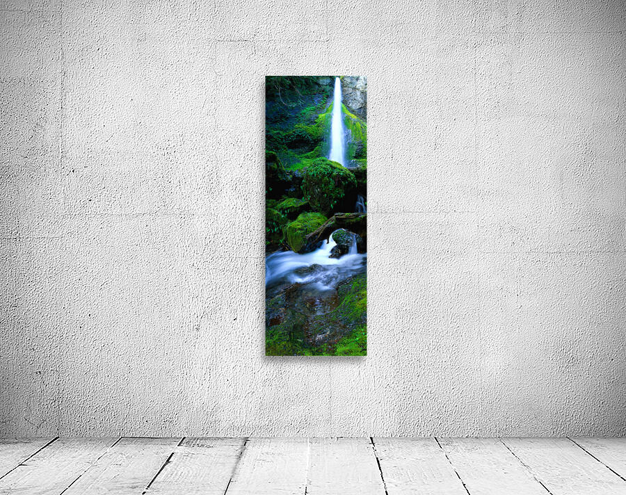 Marymere Falls by John Shephard
