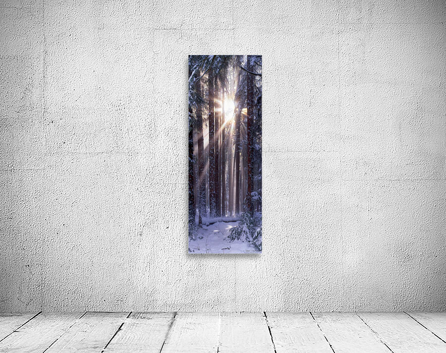 Solstice Vertical by John Shephard