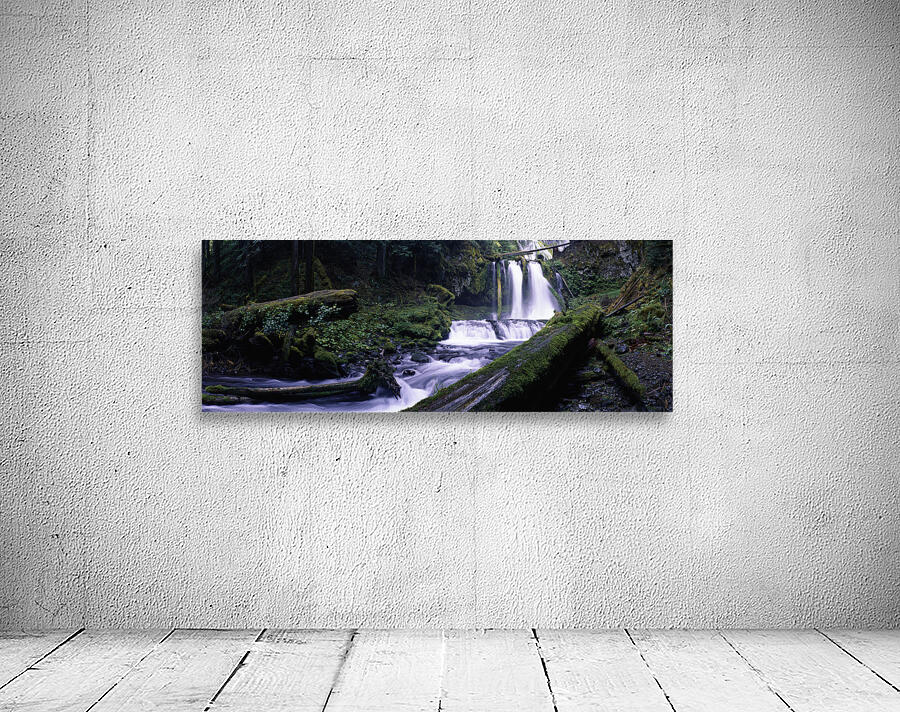 Panther Creek Falls by John Shephard
